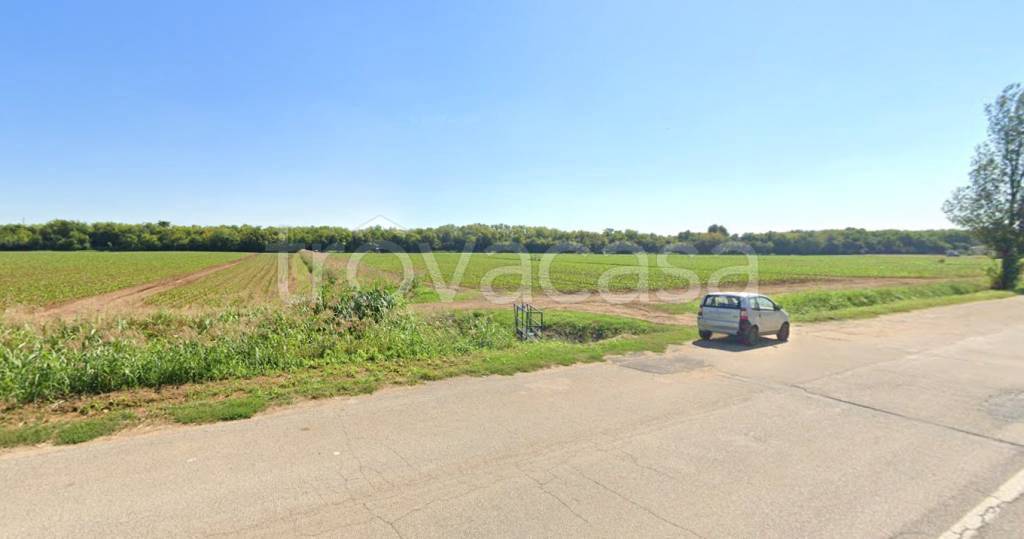 immagine annuncio 4 di 11