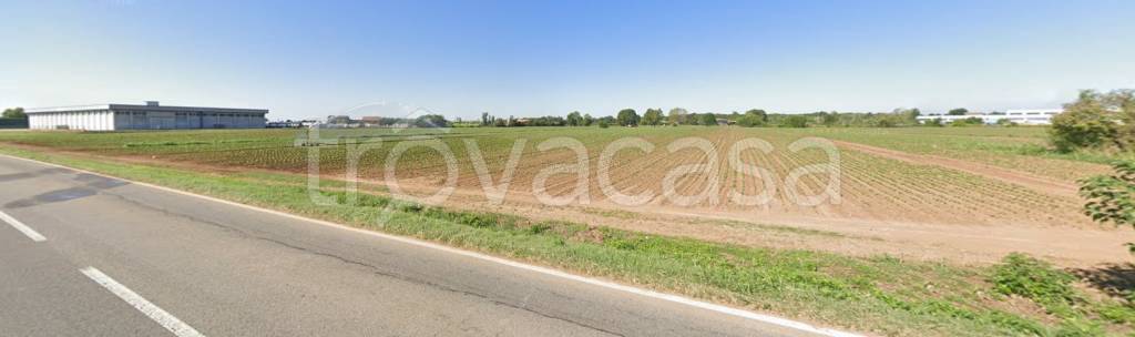 immagine annuncio 2 di 11