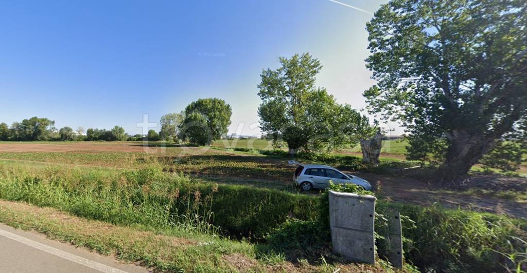 immagine annuncio 5 di 11