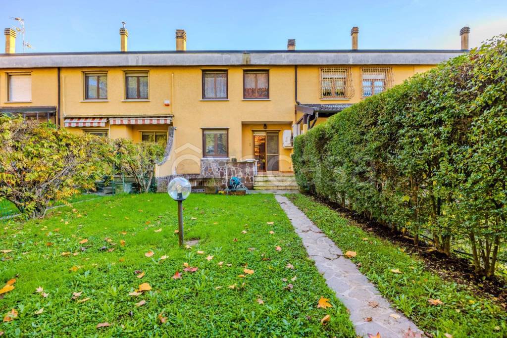 immagine annuncio 4 di 15