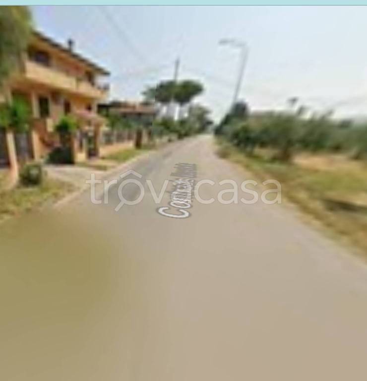 immagine annuncio 2 di 11