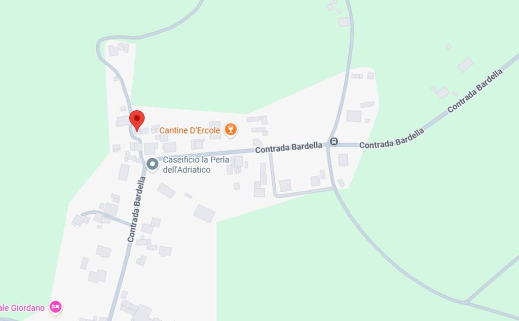 immagine annuncio 10 di 11