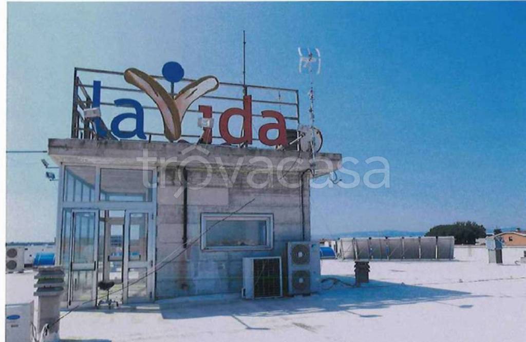 immagine annuncio 5 di 11