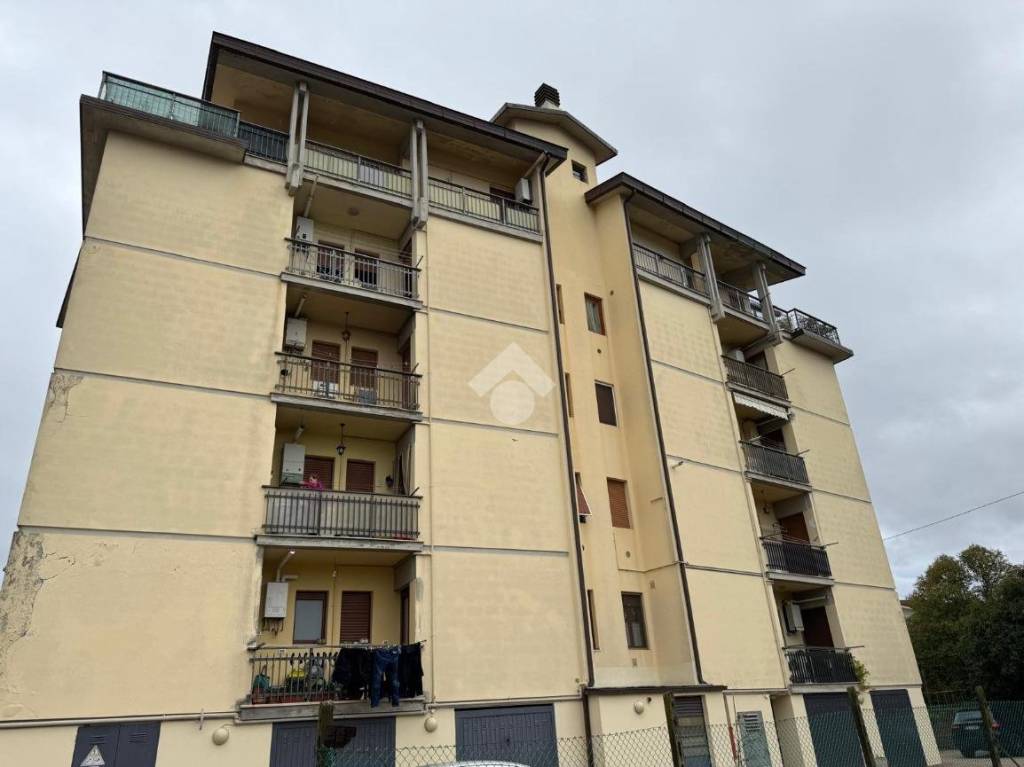 immagine annuncio 6 di 15