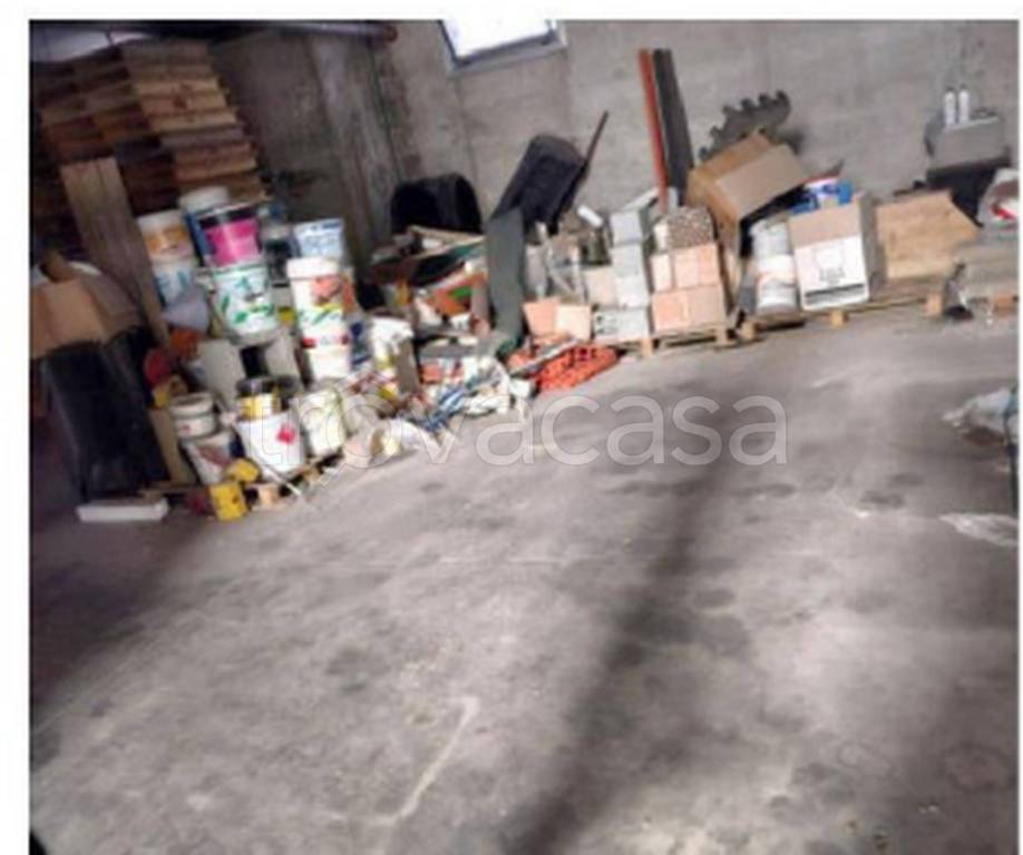 immagine annuncio 4 di 12