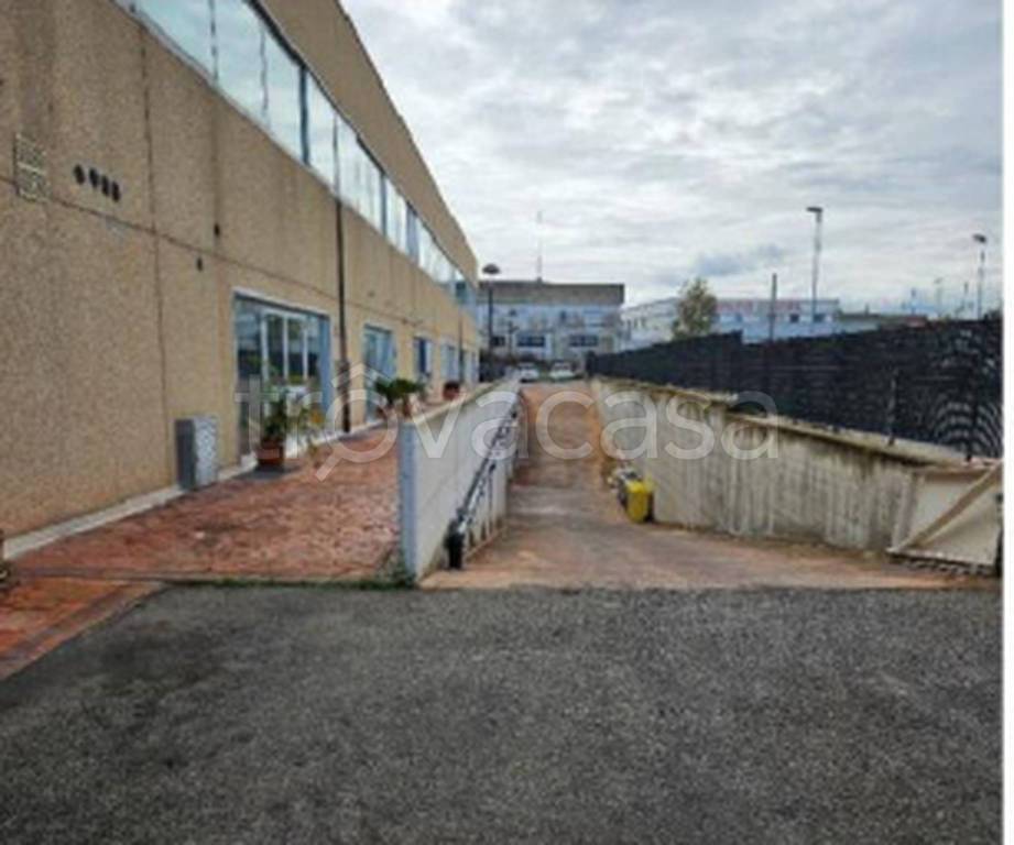 immagine annuncio 10 di 11