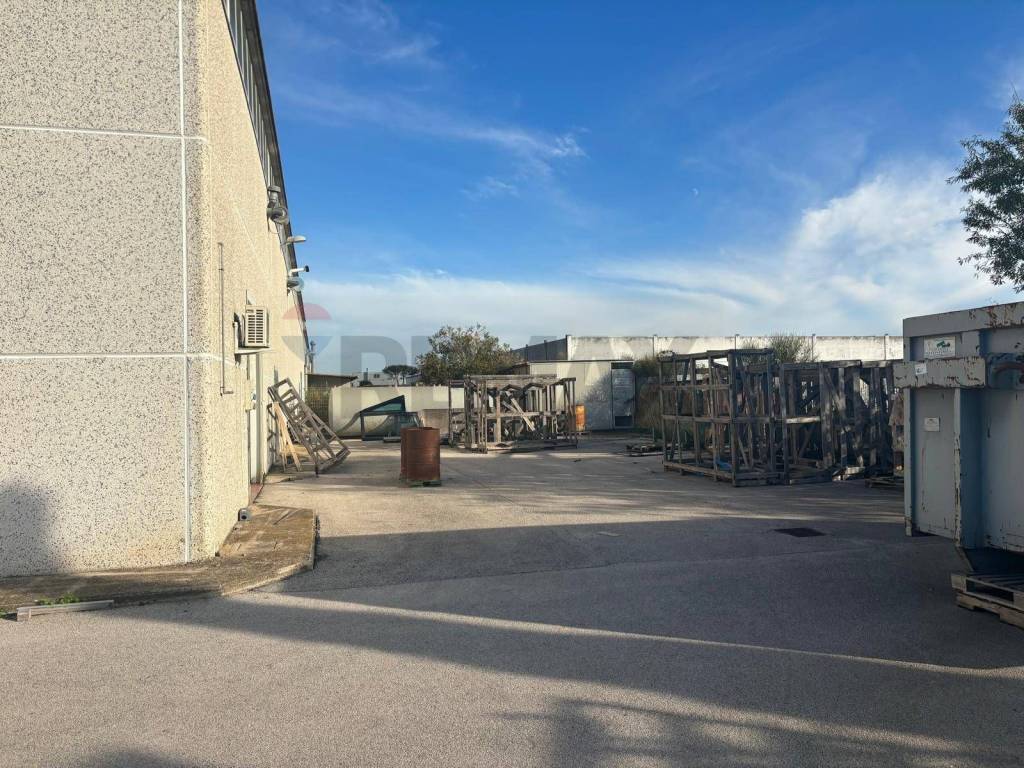 immagine annuncio 6 di 15