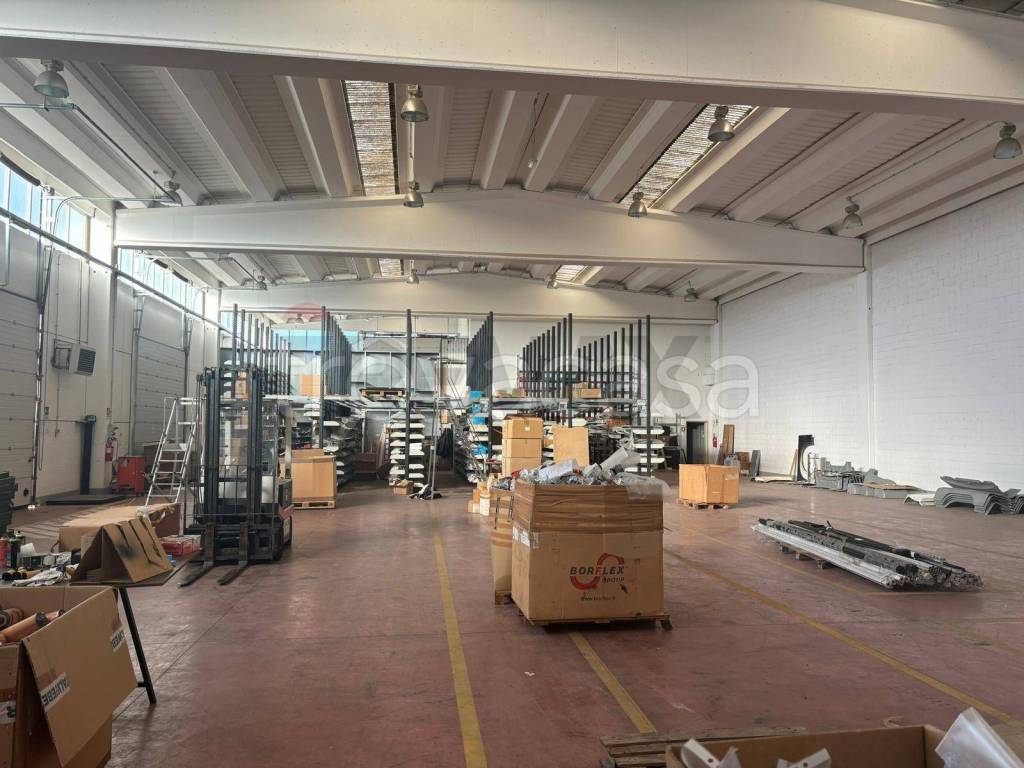 immagine annuncio 11 di 15