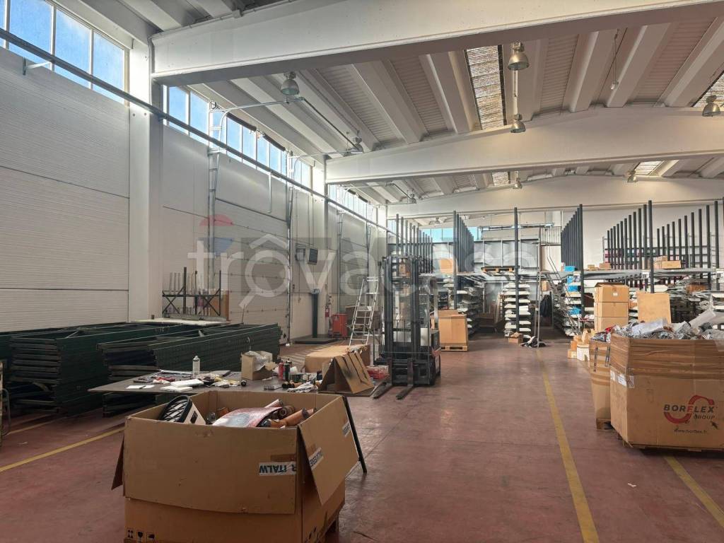 immagine annuncio 12 di 15