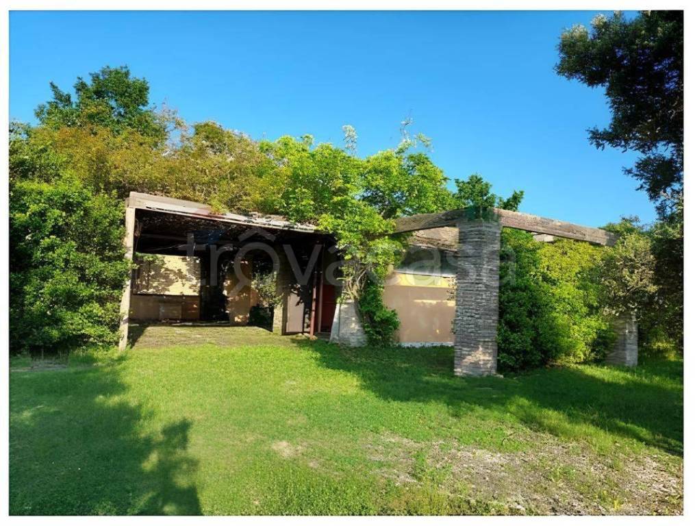 immagine annuncio 5 di 8