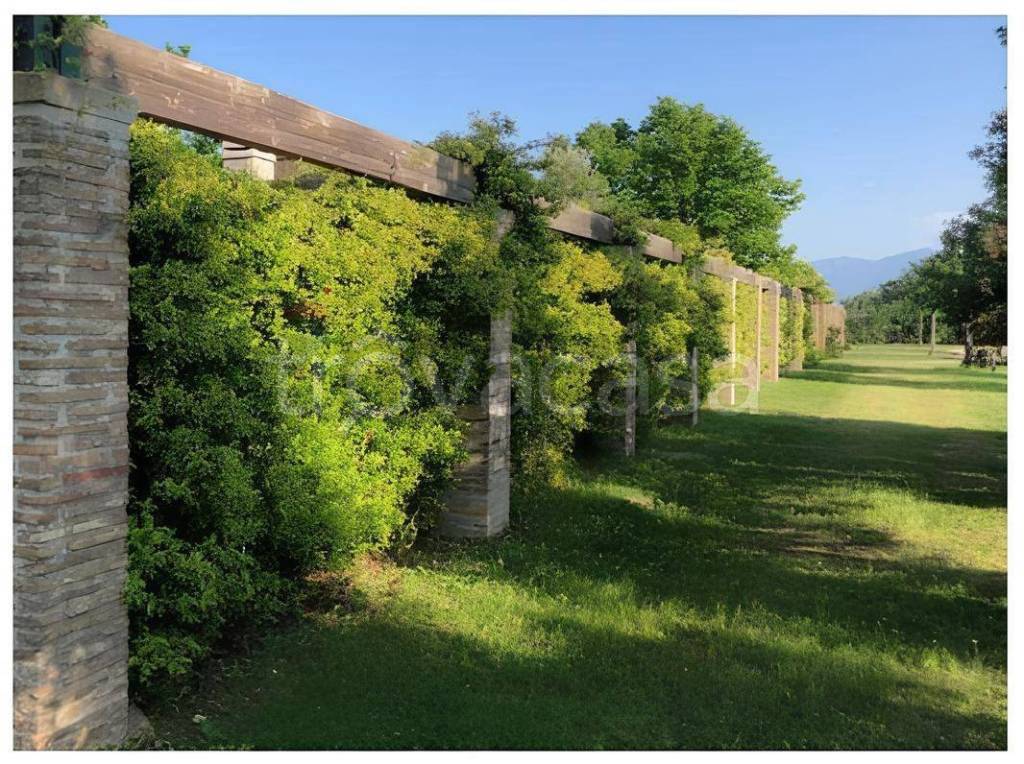 immagine annuncio 6 di 8