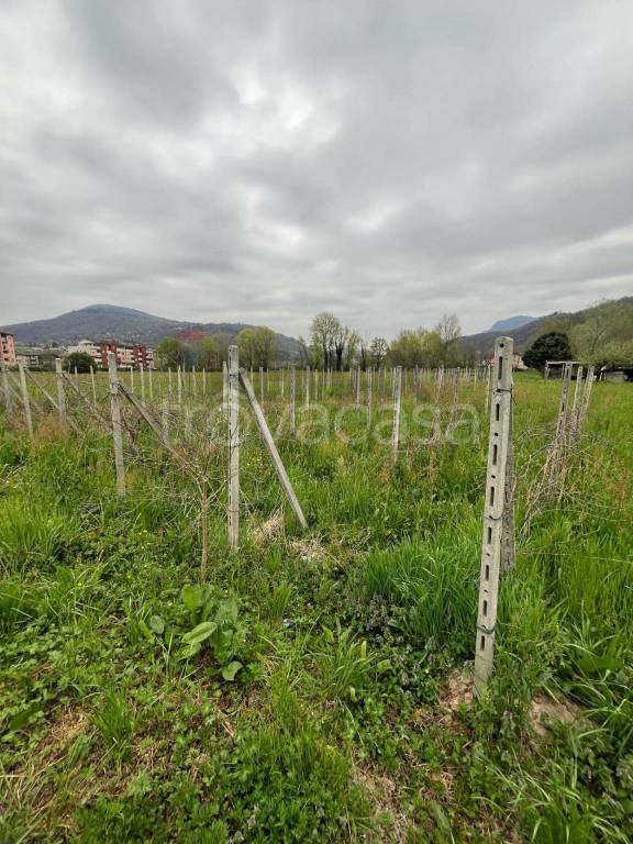 immagine annuncio 5 di 13