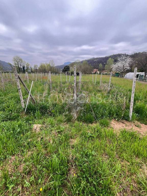 immagine annuncio 6 di 13