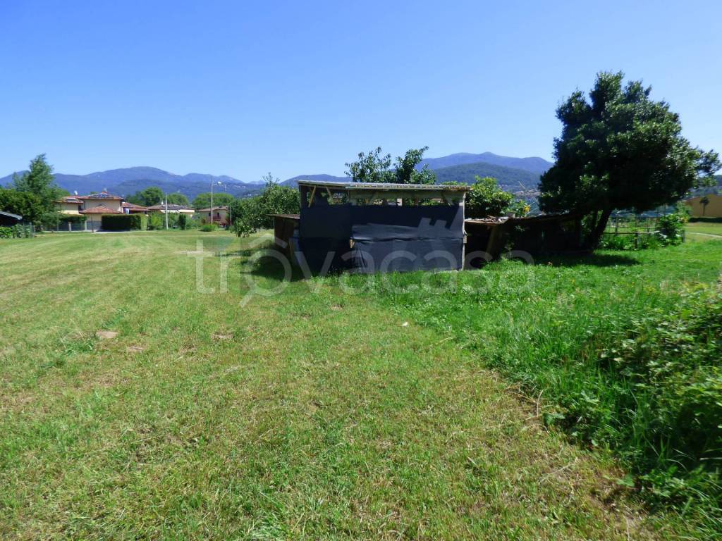 immagine annuncio 9 di 13