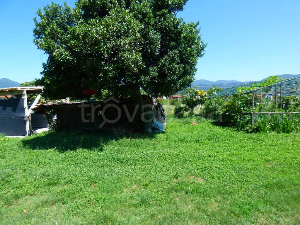 immagine annuncio 10 di 13