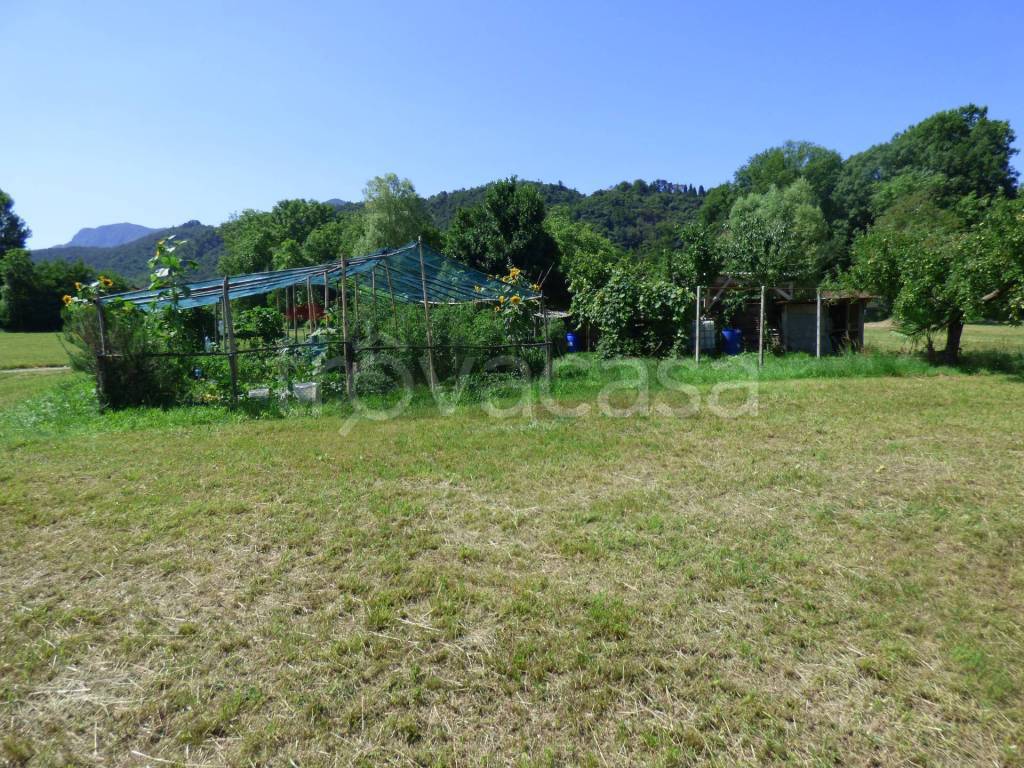 immagine annuncio 12 di 13