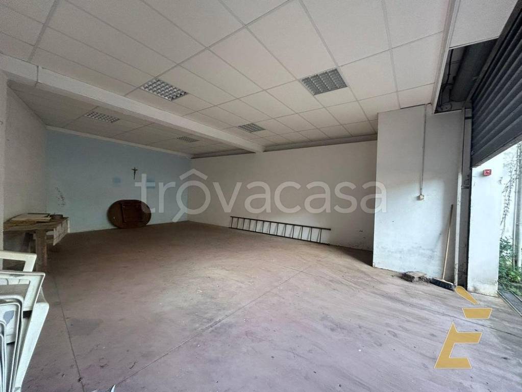 immagine annuncio 6 di 12