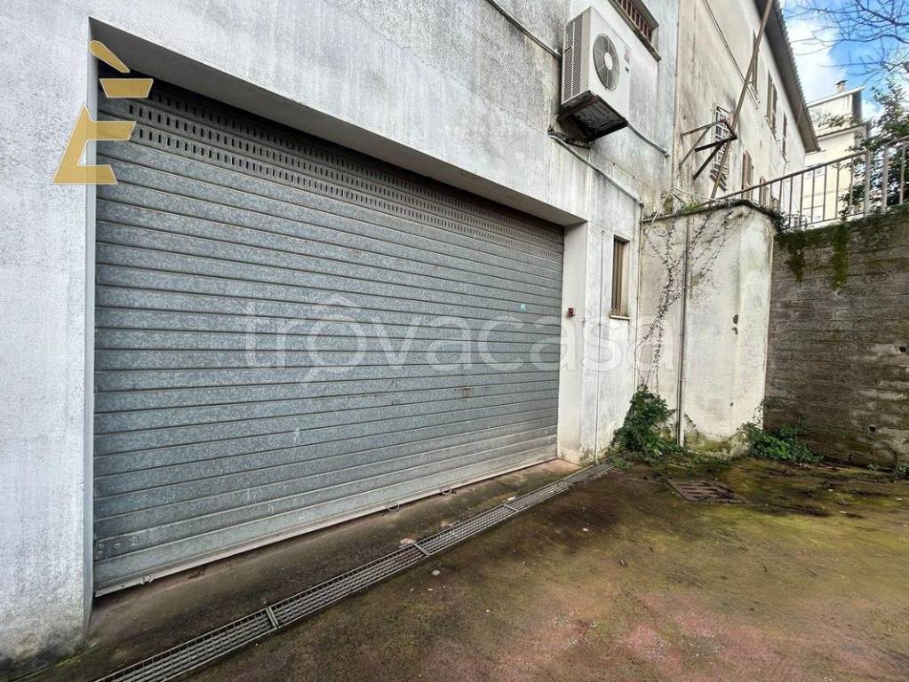 immagine annuncio 11 di 12