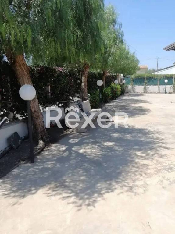 immagine annuncio 6 di 8