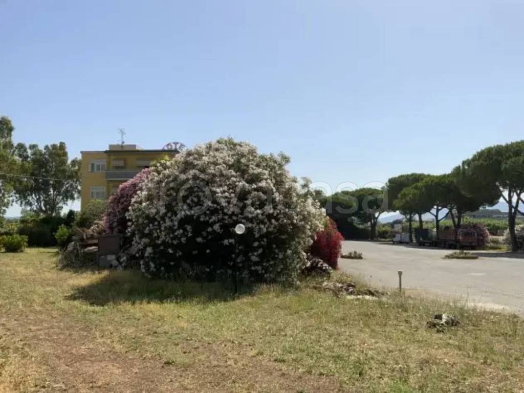 immagine annuncio 3 di 11