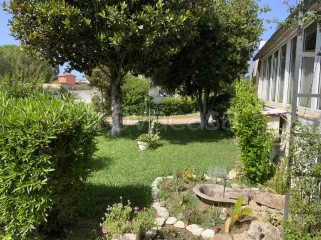 immagine annuncio 5 di 11