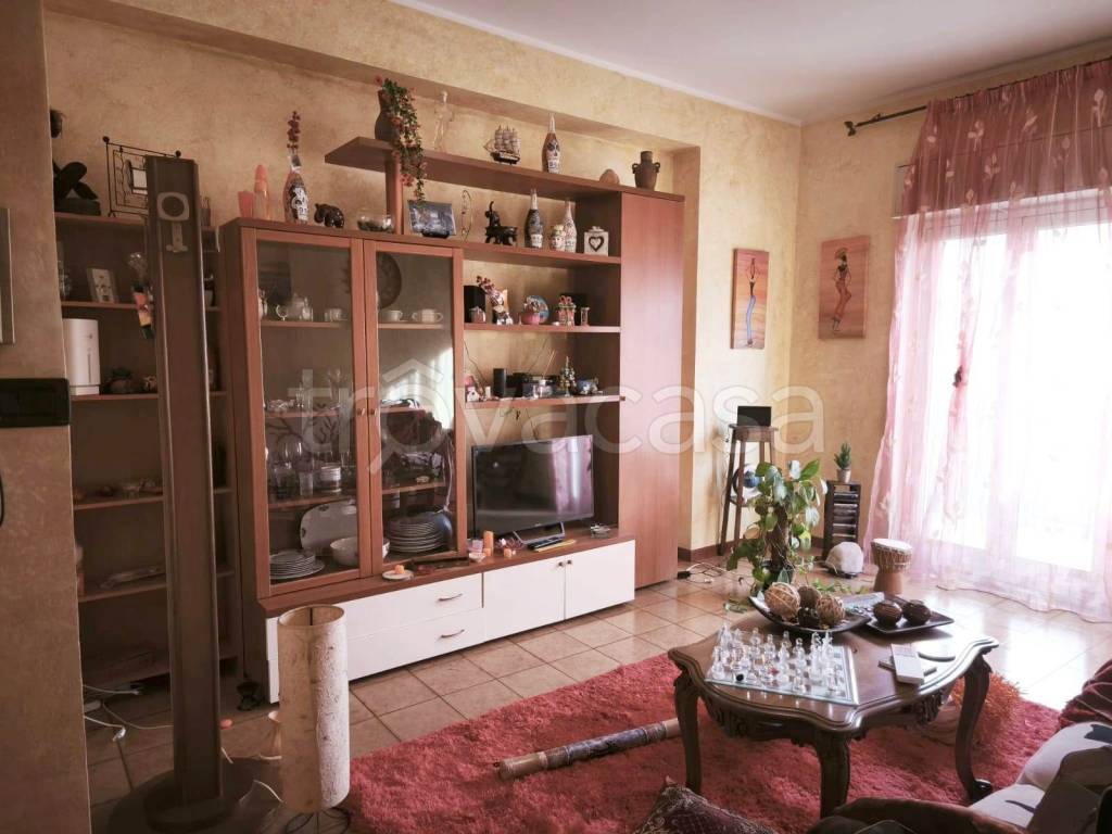 immagine annuncio 1 di 14