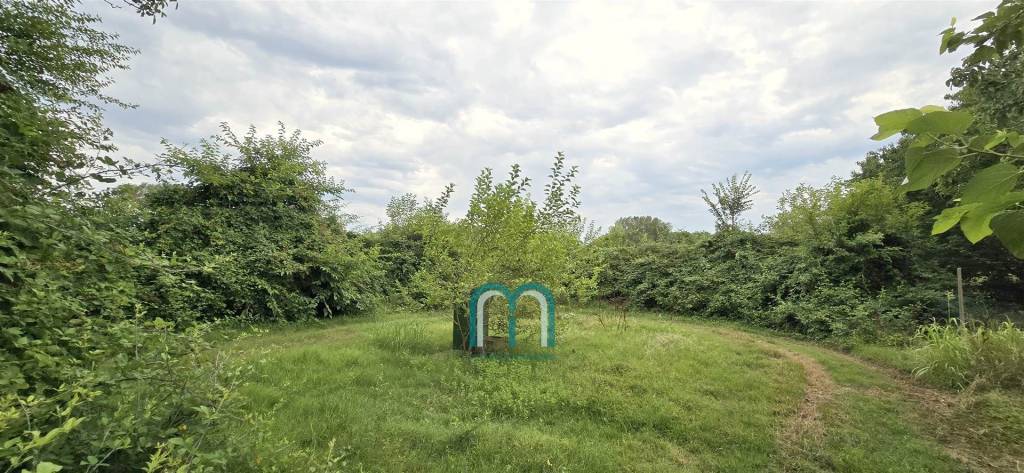 immagine annuncio 2 di 7