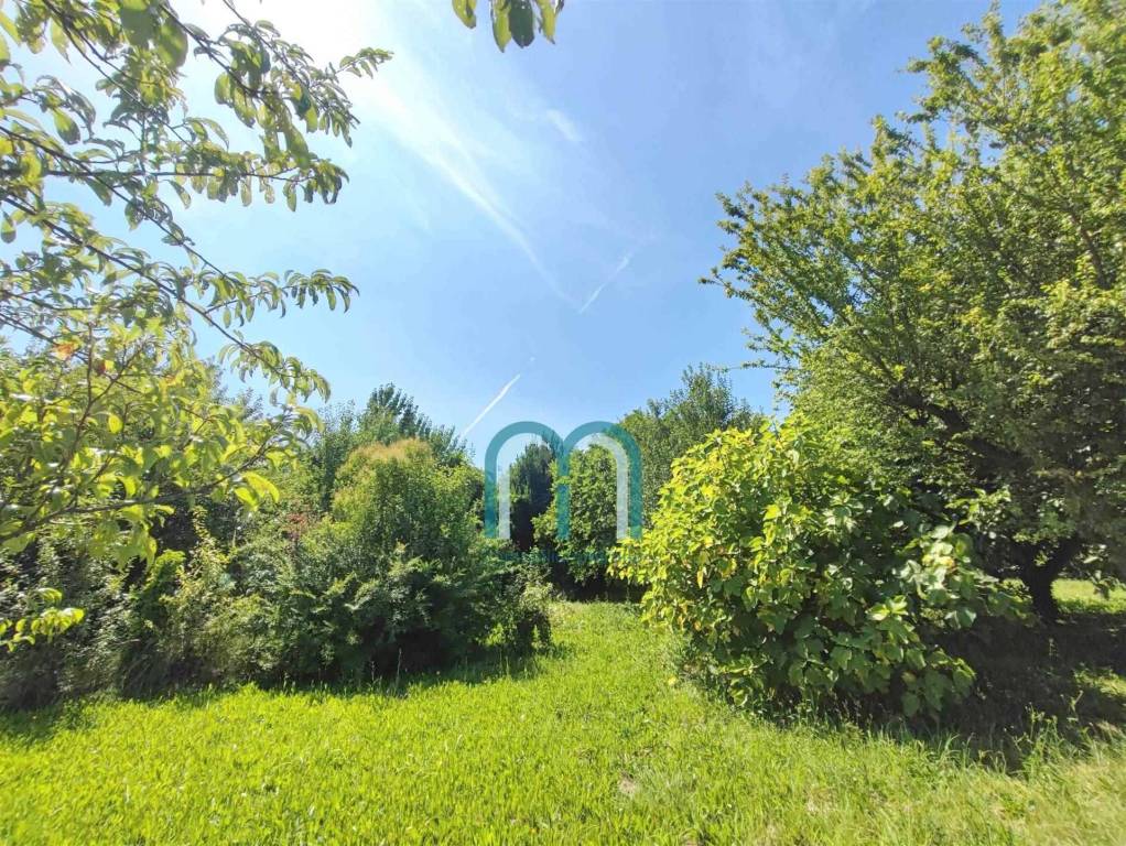 immagine annuncio 3 di 7