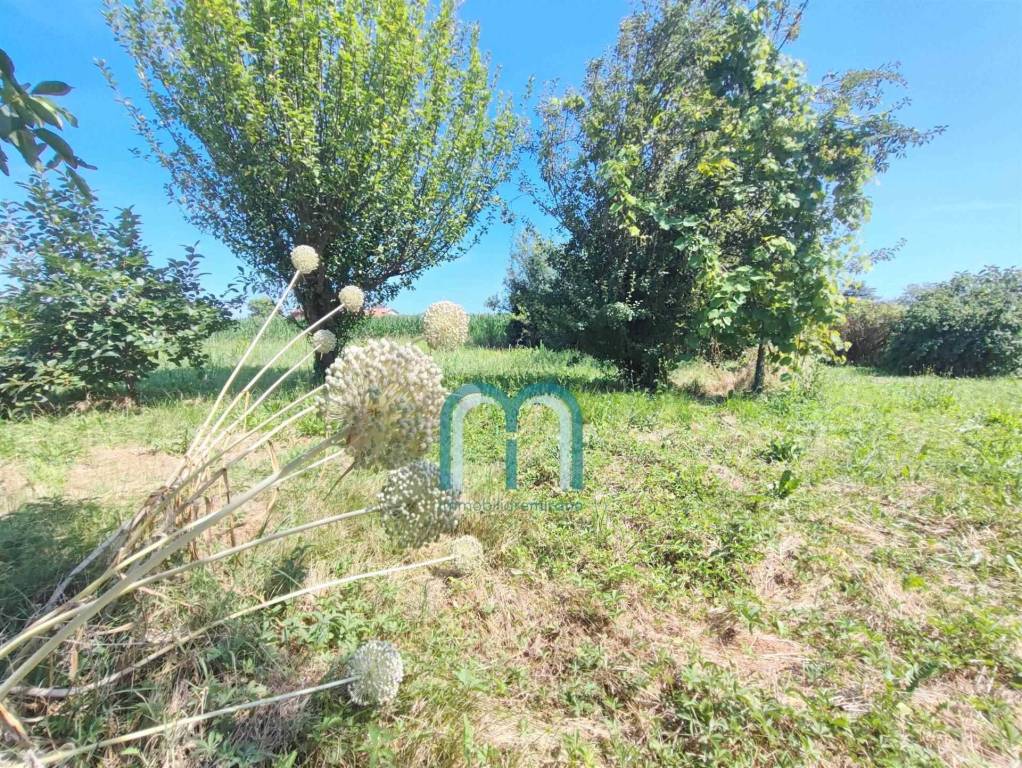 immagine annuncio 5 di 7