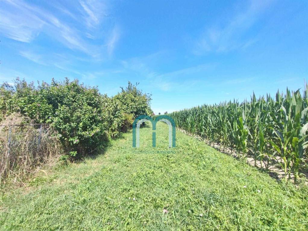 immagine annuncio 6 di 7