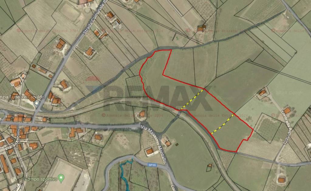 immagine annuncio 1 di 7