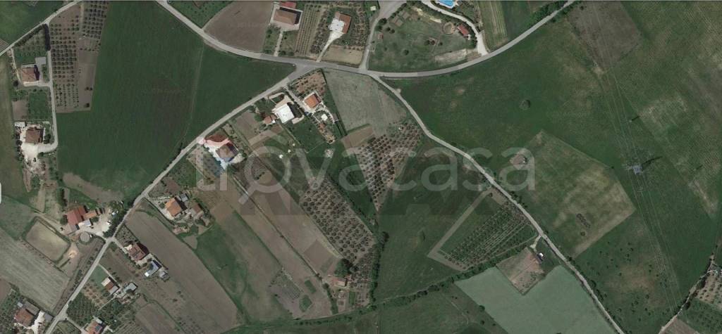 immagine annuncio 2 di 7