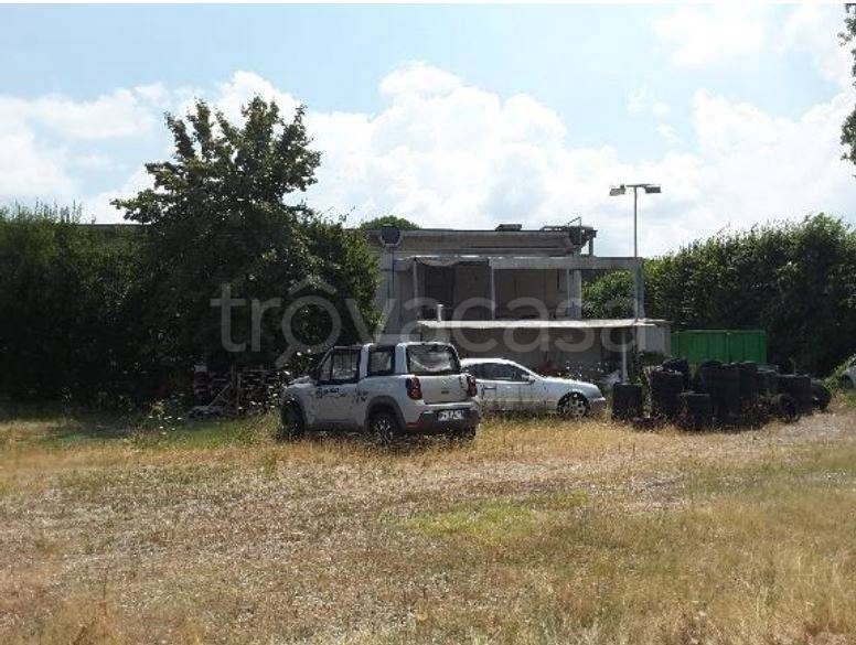 immagine annuncio 3 di 6