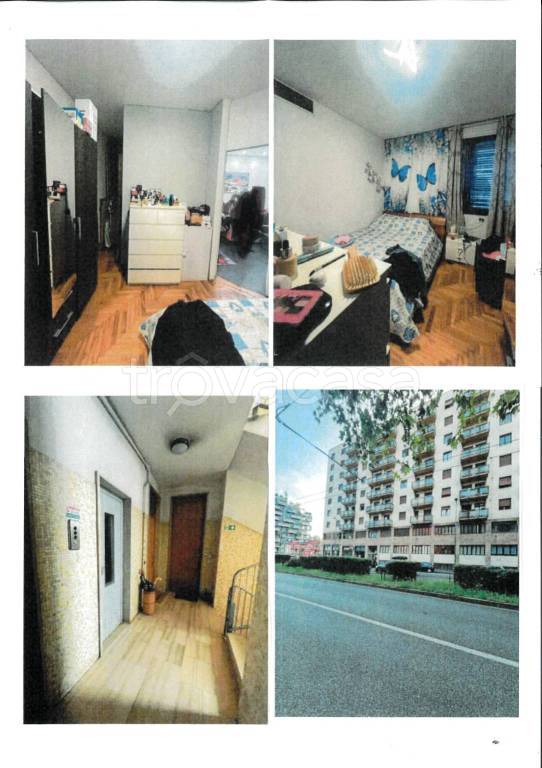 immagine annuncio 2 di 12