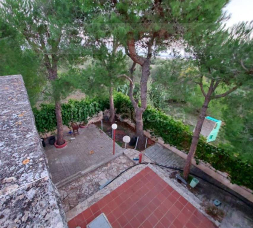 immagine annuncio 2 di 11