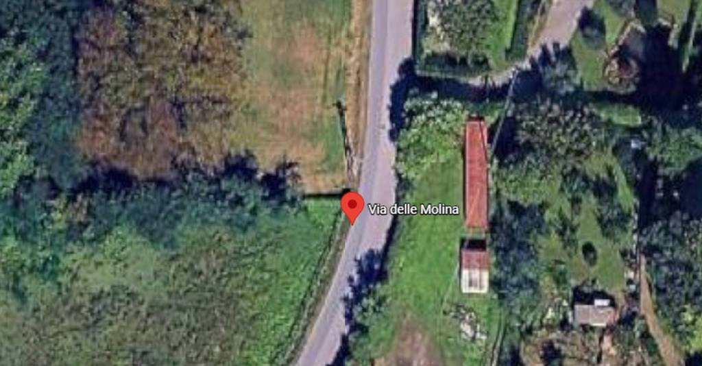 immagine annuncio 6 di 11