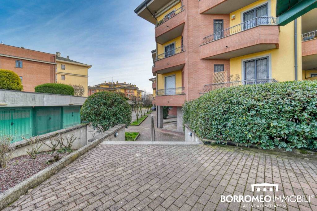 immagine annuncio 4 di 15