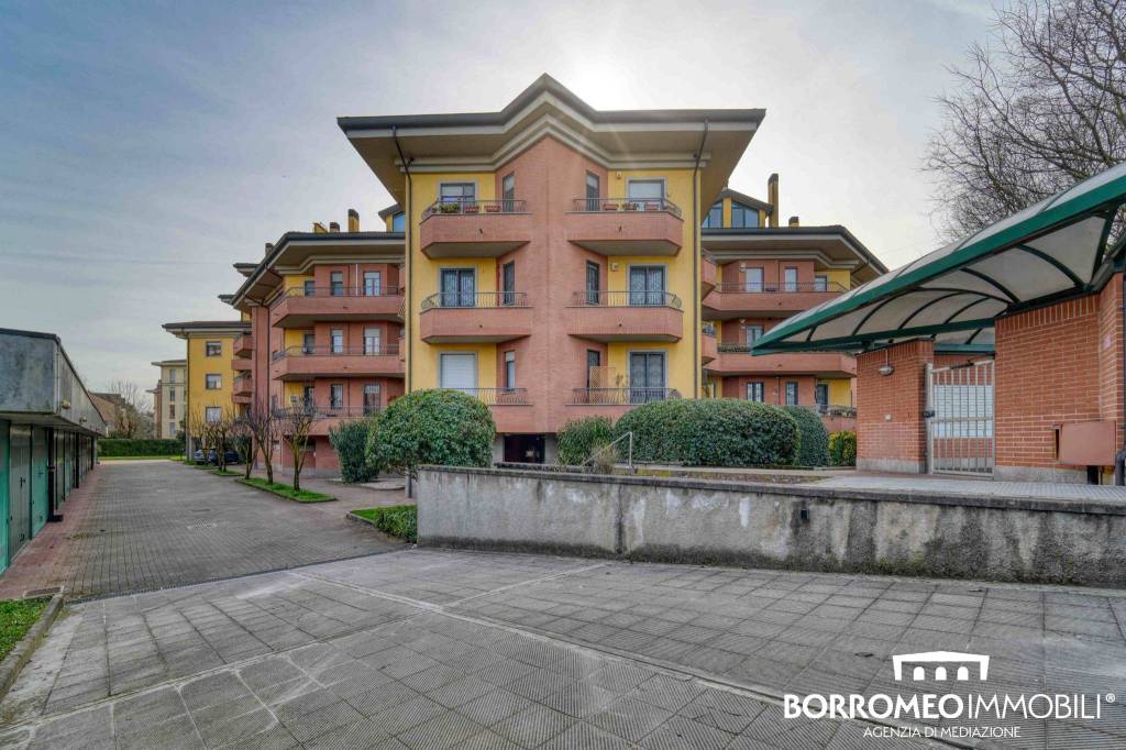 immagine annuncio 3 di 15