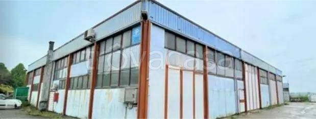 immagine annuncio 1 di 14