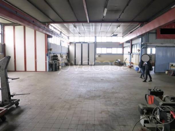 immagine annuncio 3 di 14