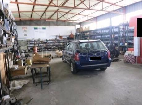 immagine annuncio 6 di 14