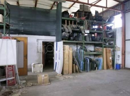 immagine annuncio 7 di 14