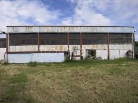 immagine annuncio 8 di 14