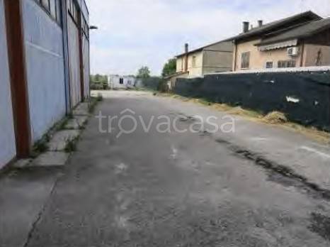 immagine annuncio 9 di 14