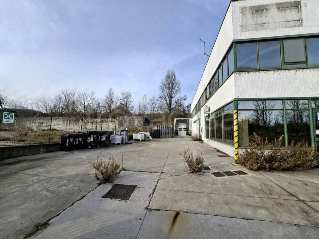 immagine annuncio 1 di 14