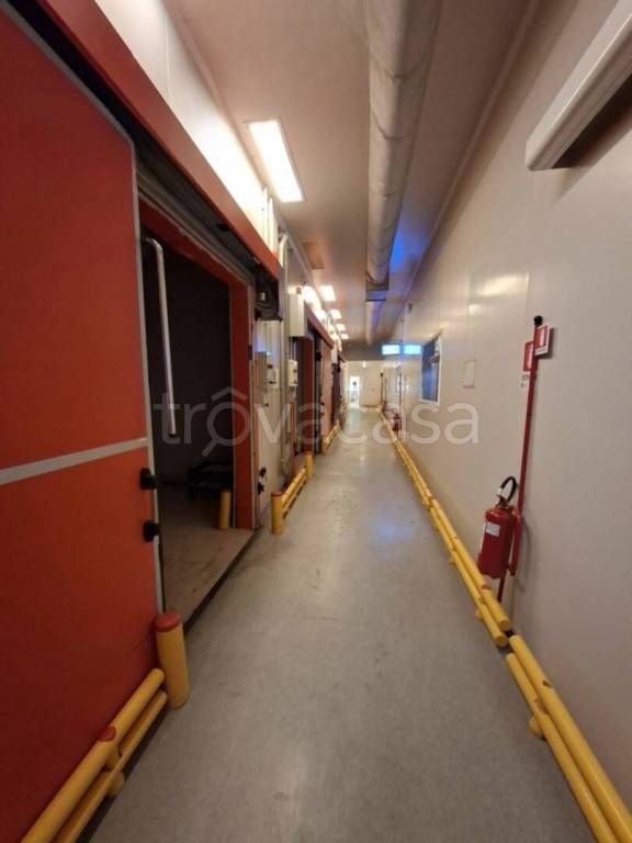 immagine annuncio 4 di 14