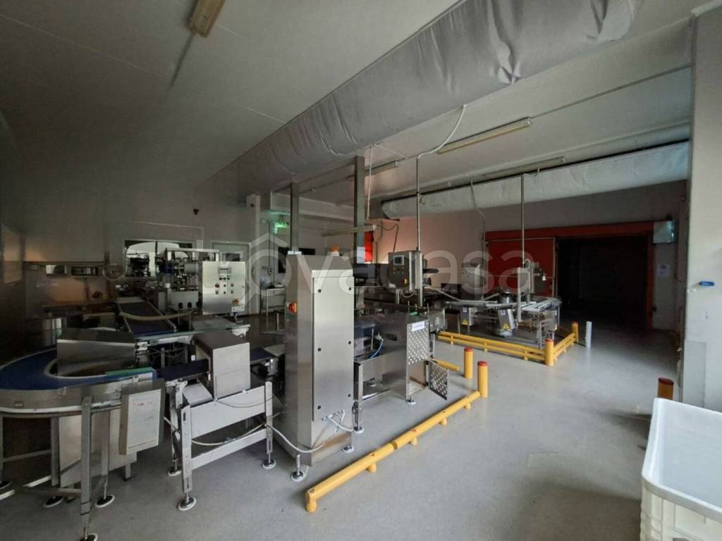 immagine annuncio 5 di 14