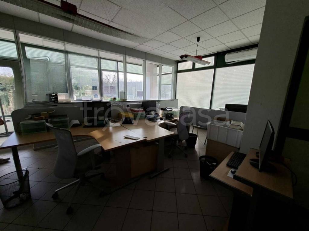 immagine annuncio 8 di 14