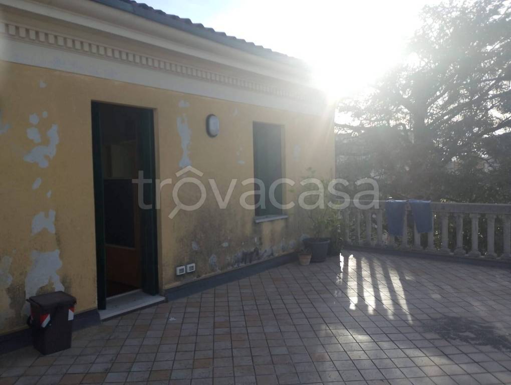 immagine annuncio 4 di 14