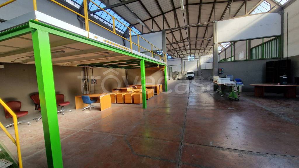 immagine annuncio 12 di 15